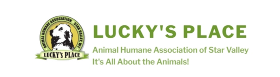 Lucky's Place Animal Shelter