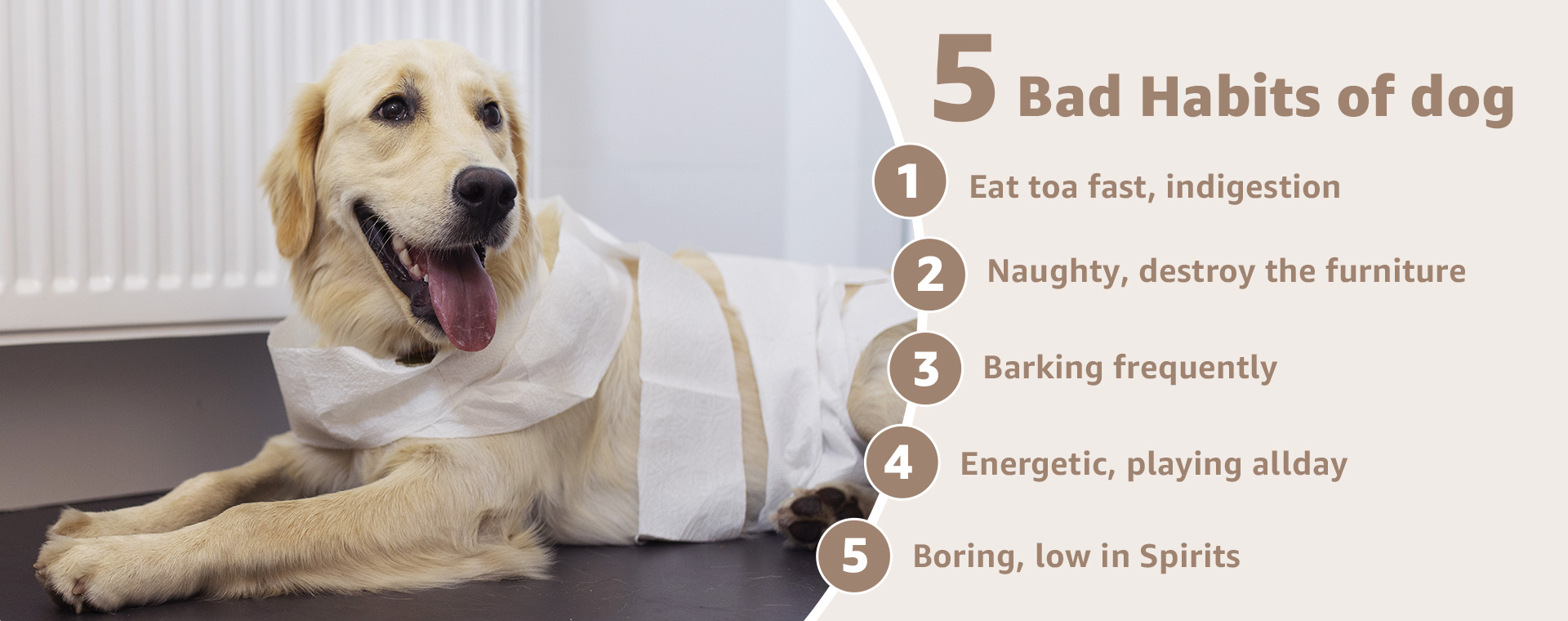 5 bad habits of dog