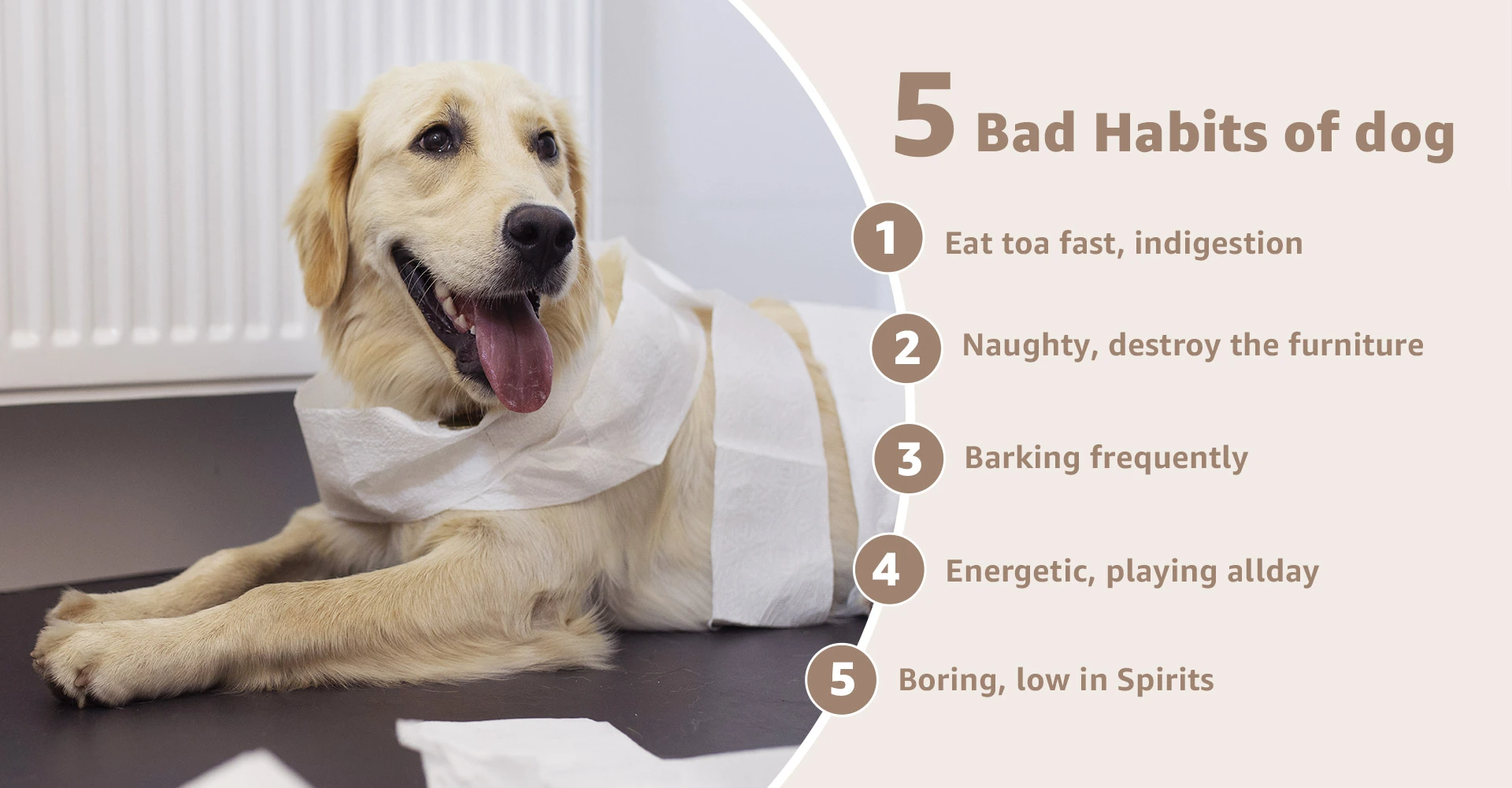 5 bad habits of dogs