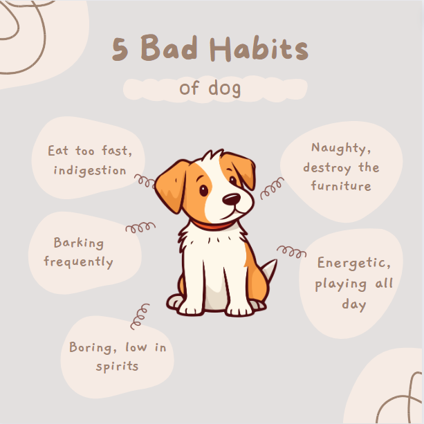 dog bad habbit