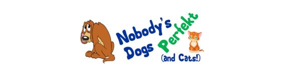 nobodys perfekt dogs and cats