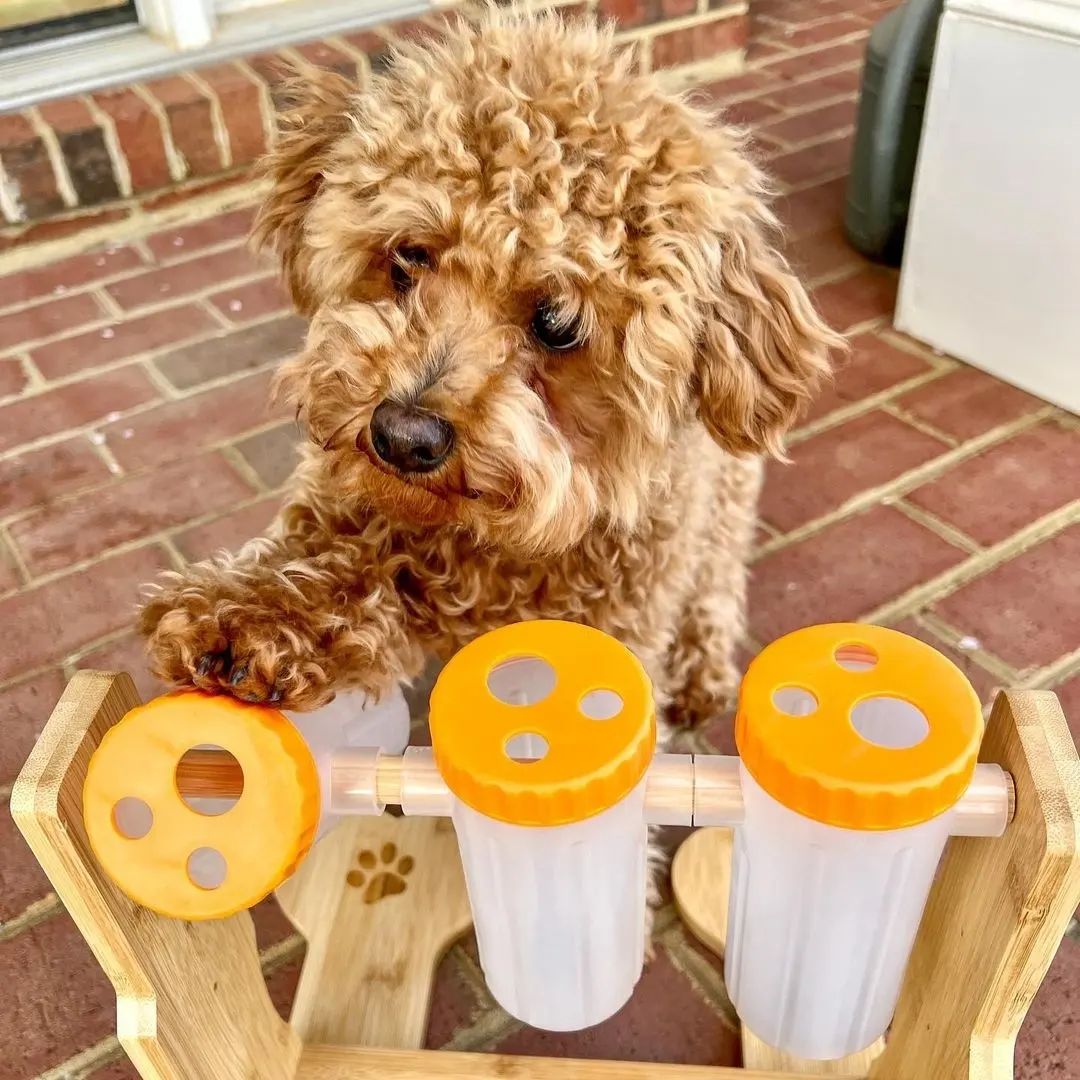 teddy-with-loobanipet-puzzle-toy