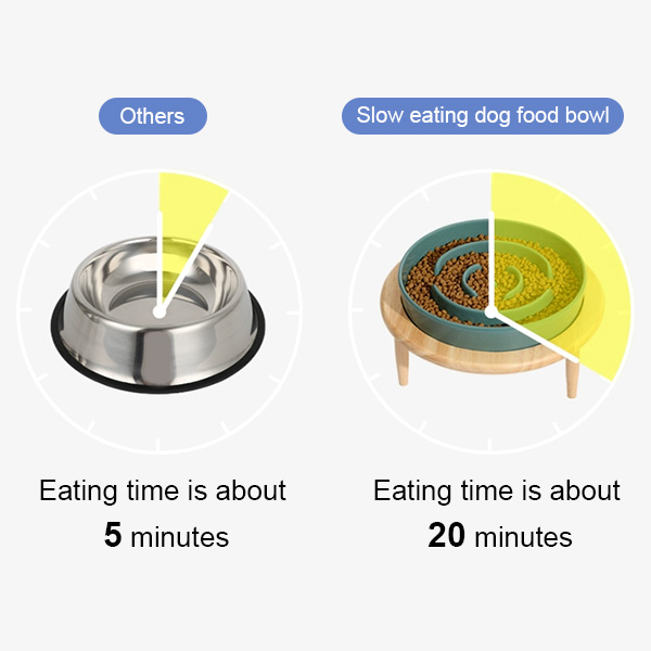 dog food bowl to slow down eating
