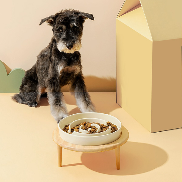 dog maze food bowls