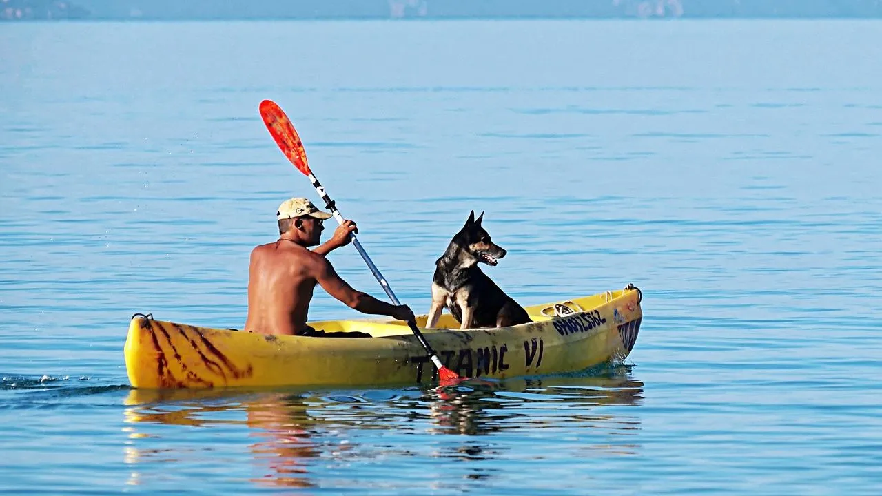 boat oars man dog water paddle