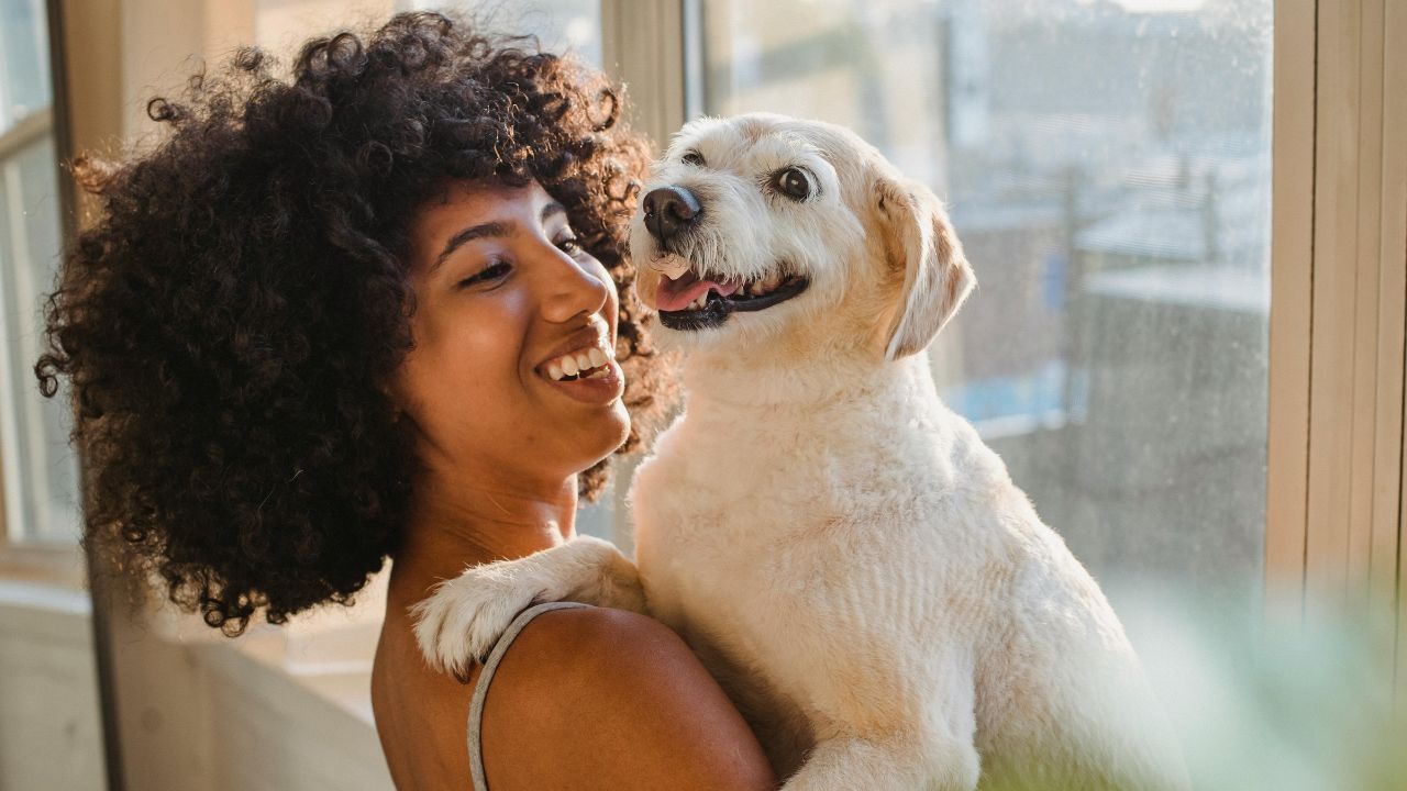 cheerful black woman embracing cute labrador near window