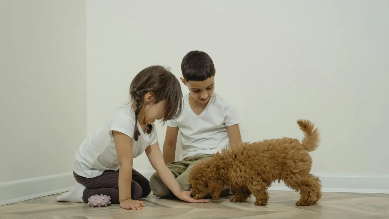 girl in white shirt and black pants playing with brown dog