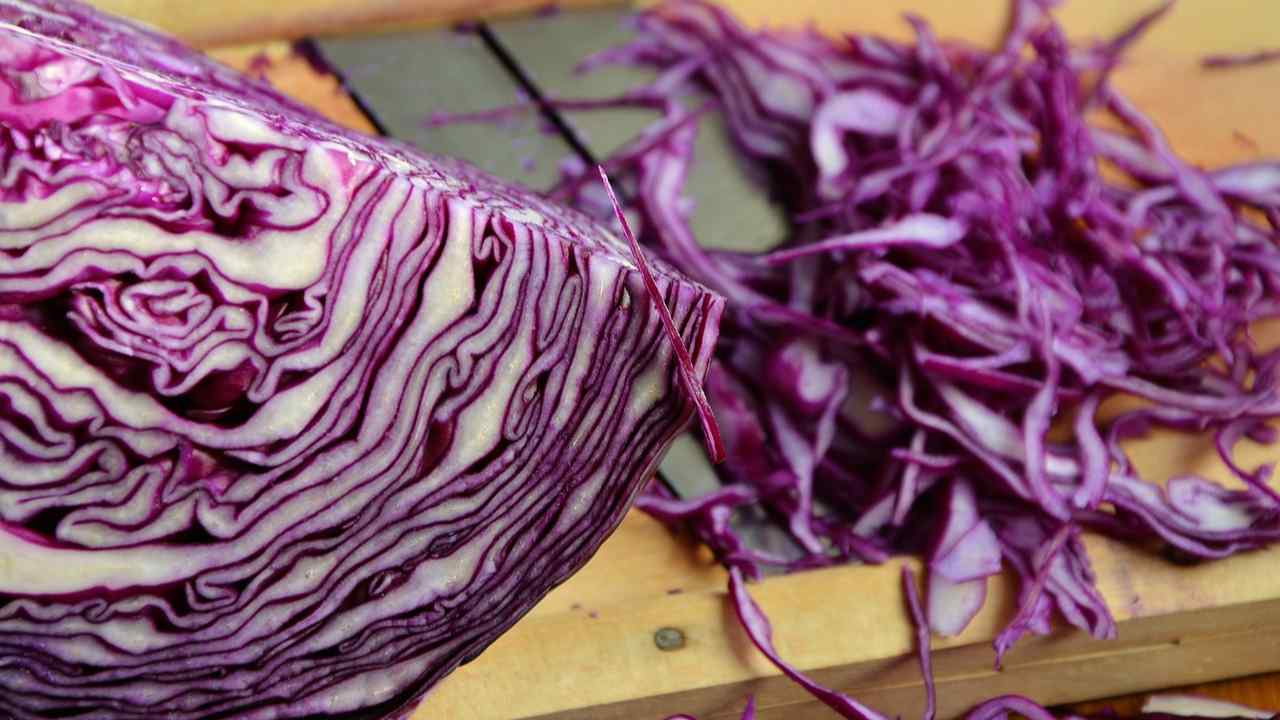 red cabbage vegetables to cut cook