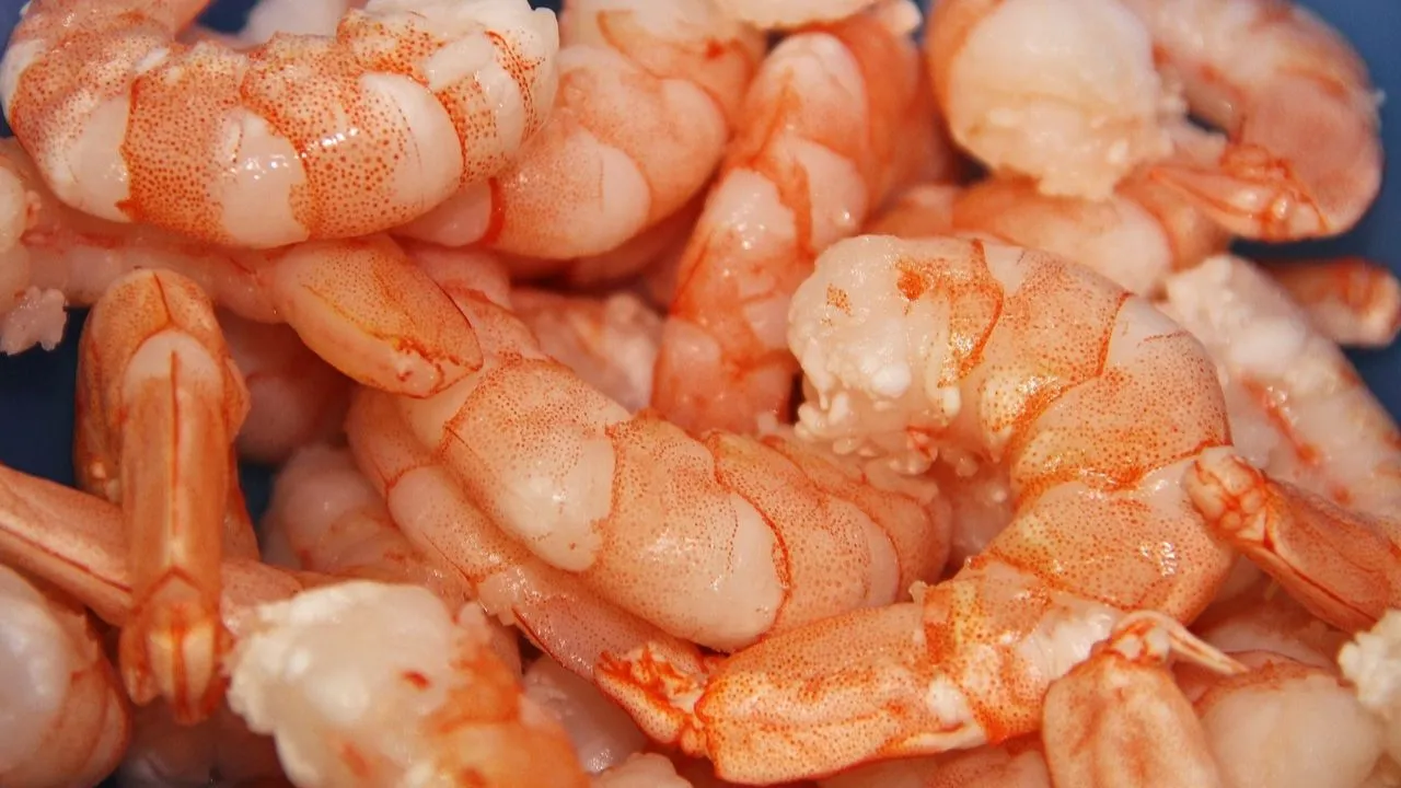 shrimp seafood fresh enjoy the meal