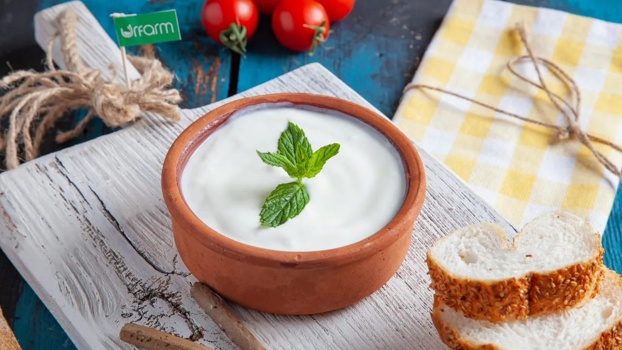 yogurt on a clay bowl with mint leaves