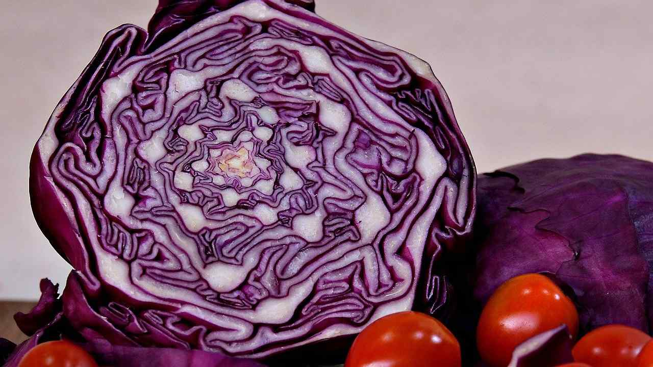 cabbage tomato purple organic