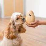 Interactive Dog Toys Duo - Beginner to Advanced - Image 3
