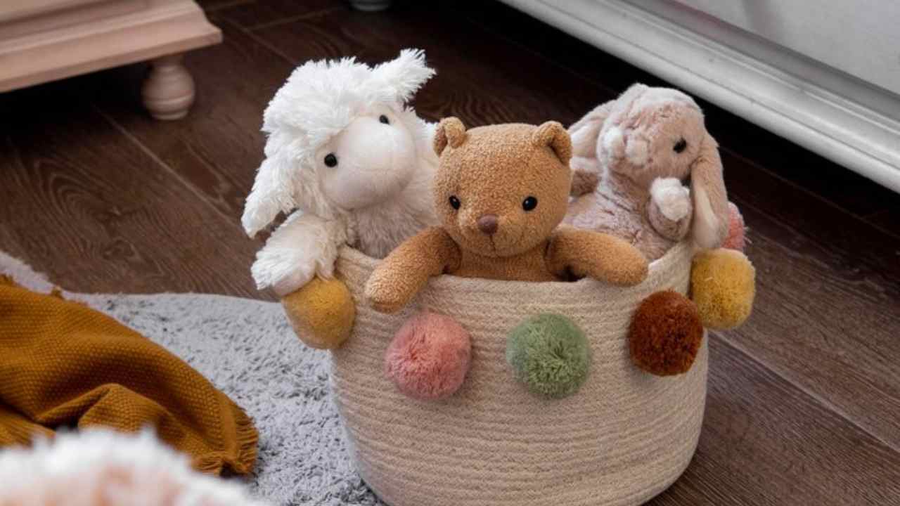interior dogs room decoration with toys