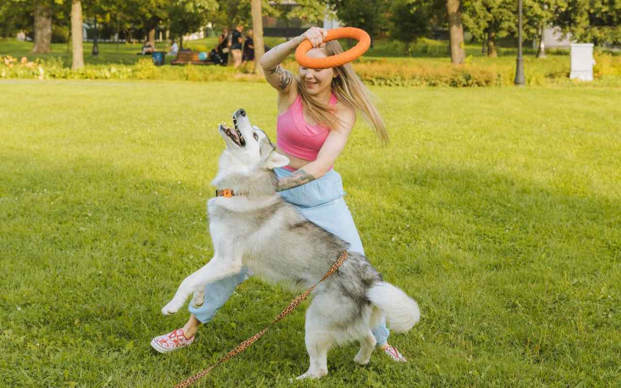 pretty woman training a dog