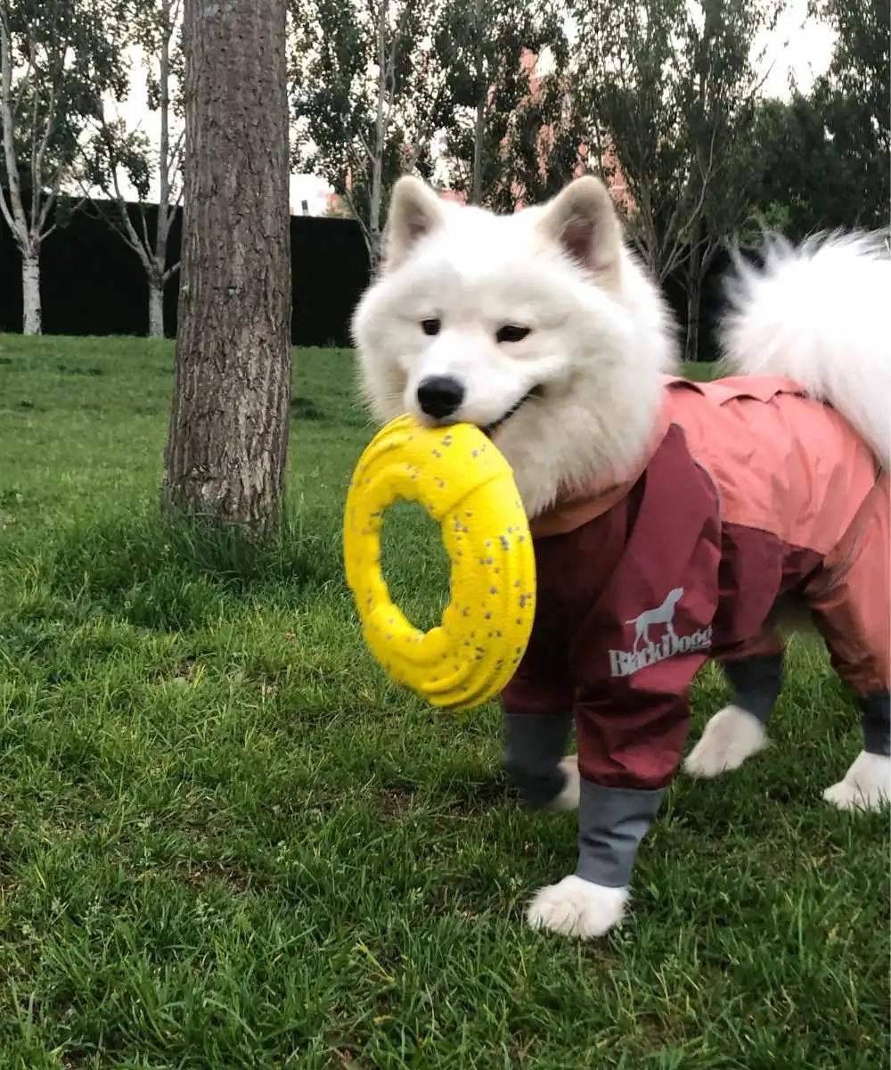 Indestructible Frisbee Flyer 4 dog-flyer-toys-4