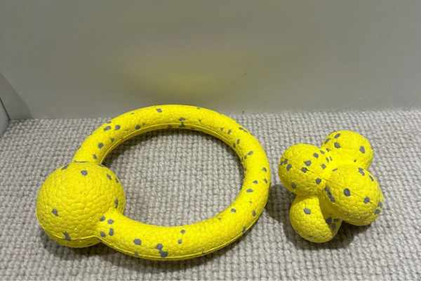 dog ring toy 4