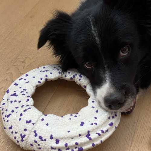 Indestructible Frisbee Flyer 9 flyer toys customer review 1