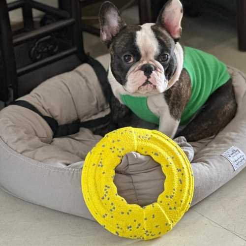 Indestructible Frisbee Flyer 11 flyer toys customer review 3