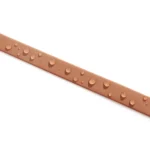 Quick-Switch Dog Leash - Image 2