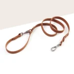 Quick-Switch Dog Leash