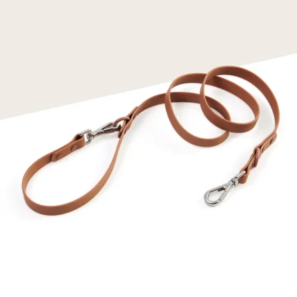 Quick-Switch Dog Leash