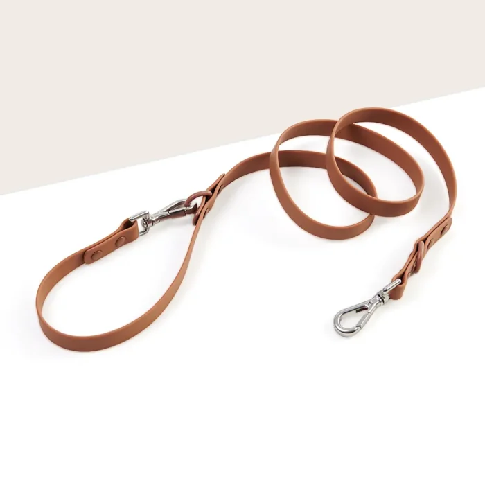 Quick-Switch Dog Leash - Image 1