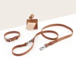 Waterproof Dog Collar and Leash Set